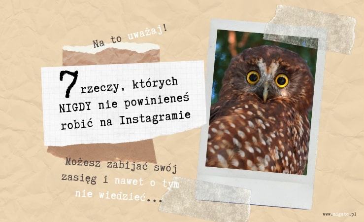 Najczęstsze błędy na Instagramie. Czego nie robić na Instagramie. Ekspert od marketingu online i mediów społecznościowych MigatoMedia.