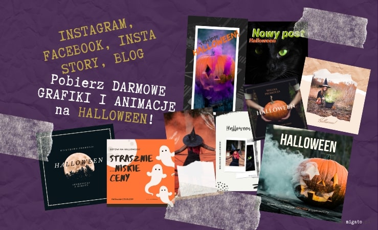 Darmowe zdjęcia, grafiki i animacje na Halloween. Pobierz darmowe zdjęcia na Halloween. Ekspert od mediów społecznościowych Migato Media.